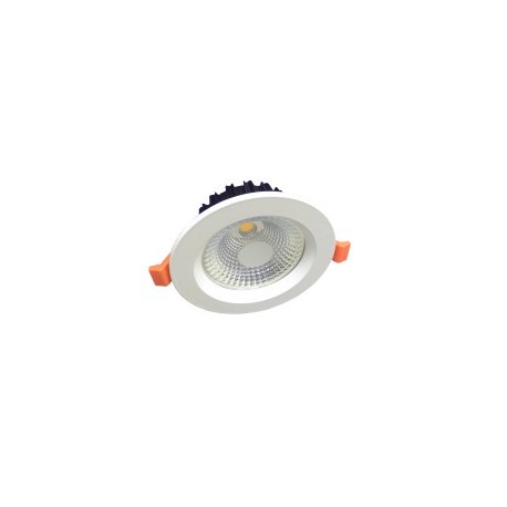 DL009-5W/C